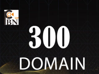 300domain