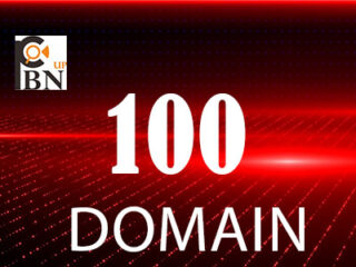 domain100