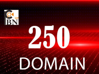domain250